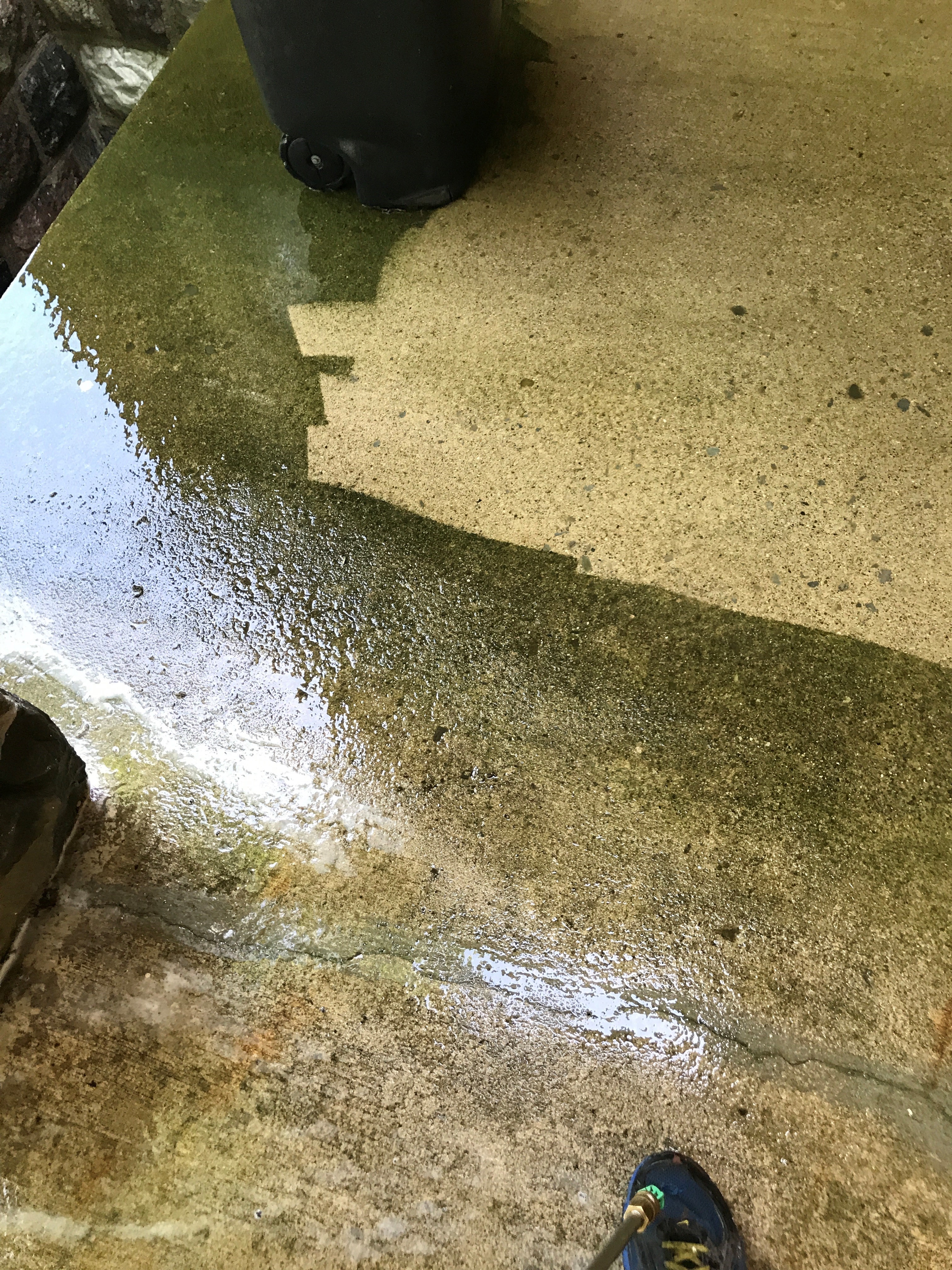Driveway/Concrete cleaning project